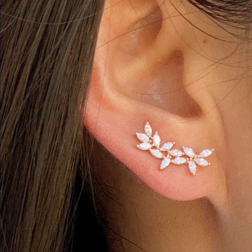 Ear Crawler Earring Silver